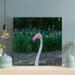 Bayou Breeze Pink Flamingo in Tilt Shift Lens 1 Wrapped Canvas Painting Canvas in Pink/White | 12 H x 12 W x 2 D in | Wayfair