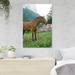 Gracie Oaks Horse Near Fence During Daytime - 1 Piece Rectangle Graphic Art Print On Wrapped Canvas in Brown/Gray/Green | Wayfair