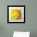 Trademark Fine Art "Glistening Sunflower Nectar" by Kurt Shaffer Framed Photographic Print Canvas | 11 H x 18 W x 0.5 D in | Wayfair