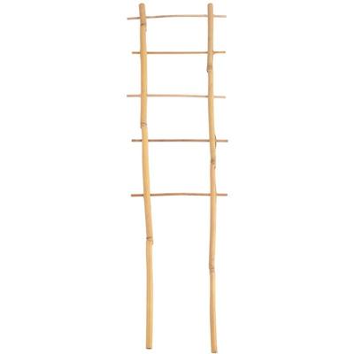 Bambus Spalier 60cm Rankhilfe Blumenstütze Rankgitter Kletterhilfe Topfpflanzen Image
