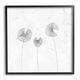 Stupell Industries Dandelion Florals Flying Seeds Flower Line Art Drawing Wall Plaque Art By Cloverfield & Co. in Brown | Wayfair ak-699_fr_12x12