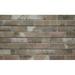 Ninth & Vine Brick Textured Slatwall (24" H x 48" L Panels) Wood in Brown | 24 H x 48 W x 0.75 D in | Wayfair WF-SW-B-T