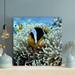 Rosecliff Heights Clown Fish On White Coral Reef - 1 Piece Square Graphic Art Print On Wrapped Canvas in Blue/White | 12 H x 12 W x 2 D in | Wayfair
