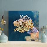 Rosecliff Heights Brown & White Fish In Water 7 - 1 Piece Square Graphic Art Print On Wrapped Canvas in Blue/Brown | 32 H x 32 W x 2 D in | Wayfair