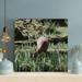 Loon Peak® Brown Deer Eating Grass - 1 Piece Square Graphic Art Print On Wrapped Canvas in Green | 12 H x 12 W x 2 D in | Wayfair