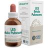 Les Betula Pubescens Gocce 50 Ml