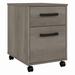 kathy ireland Home by Bush Furniture City Park 2 Drawer Mobile File Cabinet in Driftwood Gray - Bush Furniture CPF116DG-03