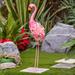 Mistana™ Finck Birds Animals Flamingo Outdoor Metal Garden Statue w/ Solar Light Metal in Pink | 34 H x 8.25 W x 8.25 D in | Wayfair