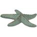 Rosecliff Heights Orwigsburg Ebros Cast Iron Ocean Coral Shell Starfish Figurine Metal in Gray/Green | 0.5 H x 3.75 W x 3.75 D in | Wayfair