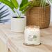 YANKEE CANDLE Signature Coconut Beach Scented Jar Candle Soy, Cotton in White | 4.63 H x 3.7 W x 3.7 D in | Wayfair 1630001