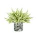 Creative Displays, Inc. Heather Arrangement in Vase Silk/Plastic | 12 H x 14 W x 14 D in | Wayfair CDFL6981