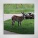Loon Peak® Brown Deer On Green Grass Field During Daytime 61 - 1 Piece Square Graphic Art Print On Wrapped Canvas in Brown/Green | Wayfair