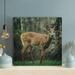 Loon Peak® Brown Deer Standing On Grass - 1 Piece Square Graphic Art Print On Wrapped Canvas in Brown/Gray/Green | 16 H x 16 W x 2 D in | Wayfair