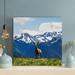 Loon Peak® Landscape Photography Of Animal Standing On Green Grass Near Snow Mountain - 1 Piece Square Graphic Art Print On Wrapped Canvas Canvas | Wayfair