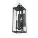 Troy Lighting Caiden 3 - Light Forged Iron Flush Mount Glass/Metal in Black | 21.75 H x 7 W x 8.25 D in | Wayfair B2062-FOR