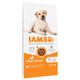2x12kg Adult Large Dog Chicken IAMS for Vitality Dry Dog Food