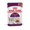 48x85g Gravy Sensory Feel Royal Canin Wet Cat Food
