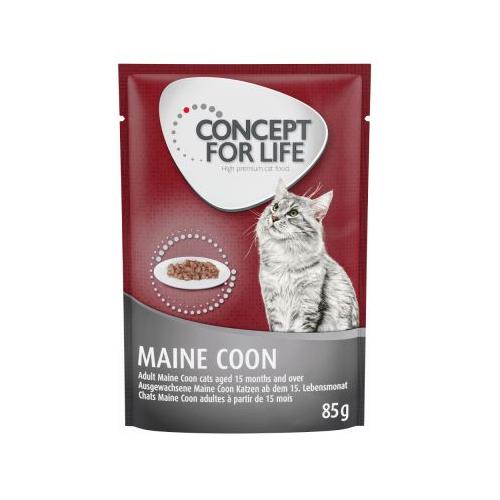 12x85g Ragout Maine Coon Adult Concept for Life Wet Cat Food