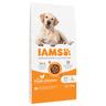 2x12kg Mature & Senior Large IAMS Dry Dog Food