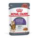 48x85g Gravy Appetite Control Royal Canin Wet Cat Food