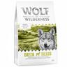 1kg Adult Lamb Green Fields Wolf of Wilderness Dry Dog Food