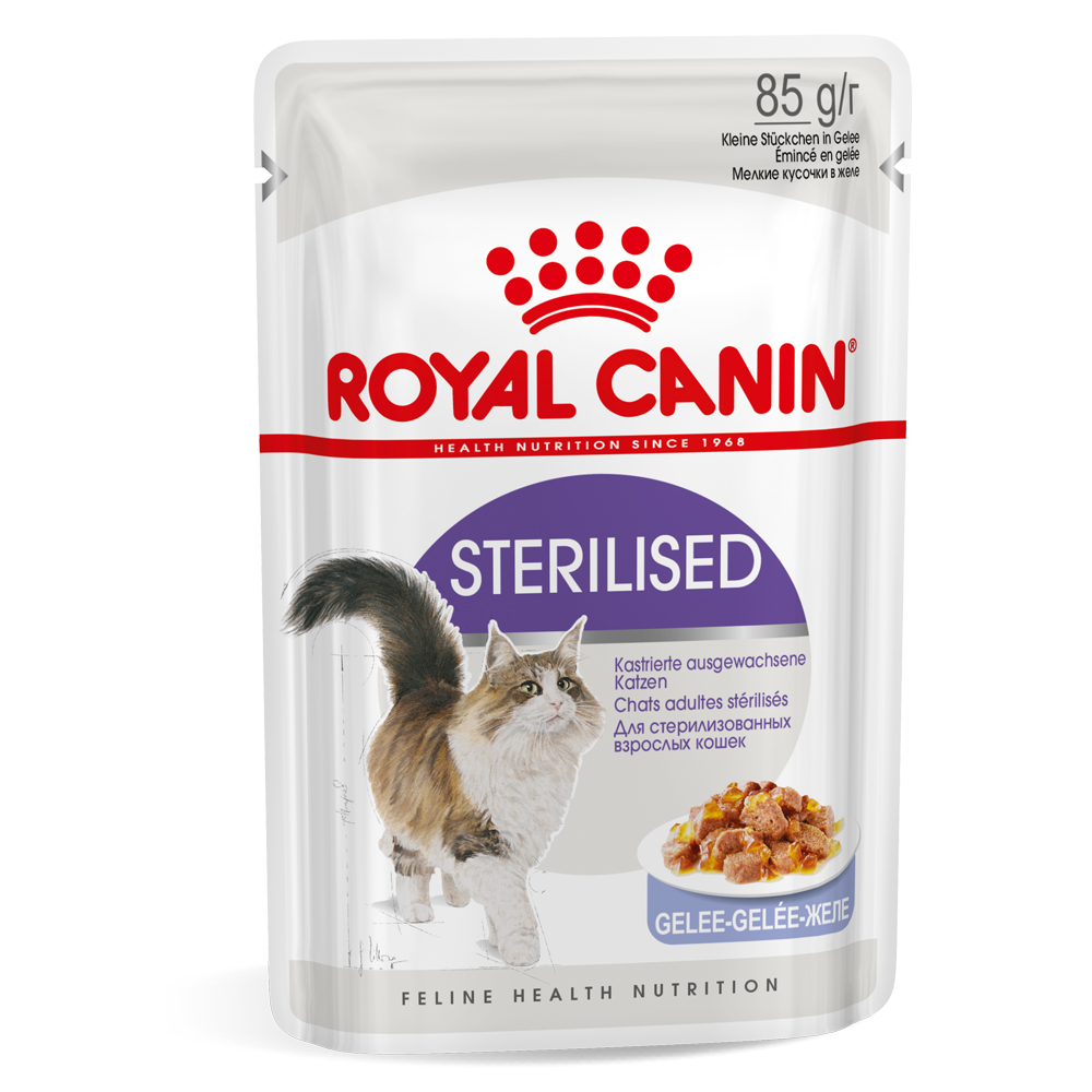 Royal Canin Sterilised umido in Gelatina per gatti - Set %: 96 x 85 g