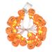 The Holiday Aisle® 20 Battery String Lights in Orange/White | 2 H x 2 W x 2 D in | Wayfair 7AB86AA153704C2DBED6B33544F43B68