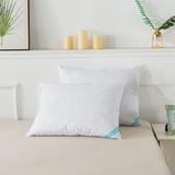 300 Thread Count Cotton White Duck Down Pillow Bed Pillow by Waverly in White (Size STAND QUEEN)