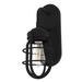 Hunter Starklake 1 Light Wall Sconce, Damp Rated, Industrial, Cage, Rustic