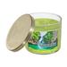 iH casadécor 14 Oz 3 Wick Jar Candle w/ Embossed Lid (Tropical Getaway) - Set Of 2 Paraffin, Glass in Green | 3 H x 4 W x 4 D in | Wayfair