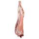 Halal Grass Fed Scottish Whole Baby Lamb with All Offal Parts and Head ~10-14kg