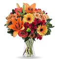 Special Florist Choice Fresh Flower Bouquet. Purple Alstroemeria and Carnations, Warming Orange Germini.Birthday, Thank You or Gift. Eligible for International Delivery.Free Next Day Delivery