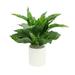Primrue 17" Artificial Peace Lily Plant in Pot Plastic/Fiberstone | 25 H x 25 W x 25 D in | Wayfair 41E9C45FC00B466AAF6A4C633736E410