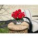 Primrue Geranium Centerpieces in Pot Plastic/Polysilk in Red | 15 H x 18 W x 12 D in | Wayfair 7D164C4345424E94A5CF8945670D60E8