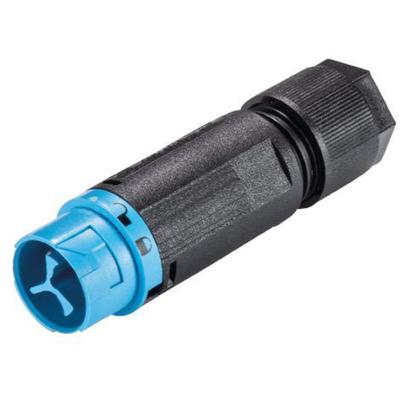 Wieland 46.032.4554.9 Rundstecker Stecker, gerade Gesamtpolzahl: 2 Serie (Rundsteckverbinder): RST®