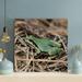 Gracie Oaks A Black Green Frog During Daytime - 1 Piece Square Graphic Art Print On Wrapped Canvas in Brown/Green | 32 H x 32 W x 2 D in | Wayfair