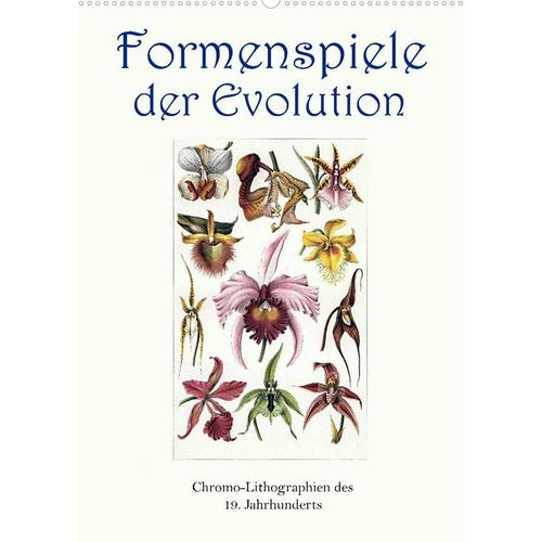 Formenspiele Der Evolution. Chromolithographien Des 19. Jahrhunderts (Wandkalender 2023 Din A2 Hoch) Von Jost Galle, Calvendo