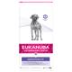 12kg Dermatosis Veterinary Diet Eukanuba Dry Dog Food