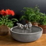 Winston Porter Chrisalyn Concrete Songbird Fountain | 6.5 H x 14.25 W x 14.25 D in | Wayfair 604AAFD87C254680BA52753282DA1B58