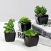 Primrue Set Of 4 Mini Assorted Artificial Succulents In Cube Pots Ceramic/Plastic | 4.3 H x 11 W x 3 D in | Wayfair