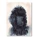 East Urban Home Portrait of the Black Poodle Puppy w/ Curly Coat - Print on Canvas Plastic in Black/Pink | 44 H x 34 W x 1.5 D in | Wayfair