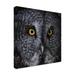 Loon Peak® Nathan Larson 'Great Grey Owl' Canvas Art Canvas, Wood in Black/Gray/Green | 14 H x 14 W x 2 D in | Wayfair