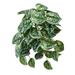 Primrue Real Touch Green Scindapsus Pictus Bush Faux Plants & Trees Fabric | 16 H x 12 W x 9 D in | Wayfair F17A8E96152F45EAA3FCE4AF53D80FE3