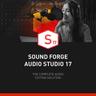 Magix Sound Forge Audio Studio