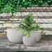 Latitude Run® Kante 3 Piece Lightweight Concrete Outdoor Round Planter, 13", 10.5" & 8" Tall Set Concrete in White | 10 H x 16 W x 16 D in | Wayfair