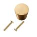 IXIR 1 in. (25 mm) Brushed Solid Gold Round Cabinet Knob