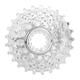 Campagnolo Unisex's Veloce Cassette, Silver, (14-28)