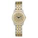 Women's Gold/Silver Hartwick College Hawks Two-Tone Medallion Wristwatch