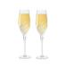 Latitude Run® White Glitter Trim Glass Champagne Flute Set, All Seasons, Home Decor, Drinkware, 2 Pieces Glass | 4.1 H x 6.8 W in | Wayfair