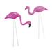Bayou Breeze Flamingo 2 Piece Garden Statue Set Resin/Plastic in Pink | 12 H x 4 W x 2.5 D in | Wayfair 08303343799A460EB9F6C1B382976569